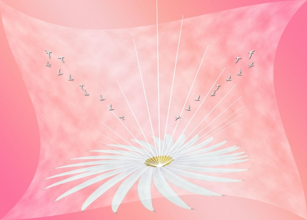 Creation of my flower: Step 8